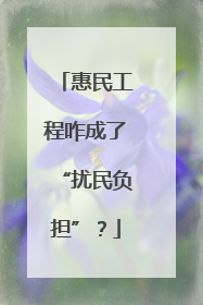 惠民工程咋成了“扰民负担”？