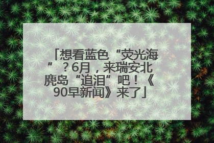想看蓝色“荧光海”？6月，来瑞安北麂岛“追泪”吧！《90早新闻》来了