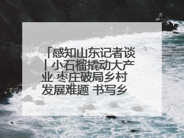感知山东记者谈丨小石榴撬动大产业 枣庄破局乡村发展难题 书写乡村共富答卷