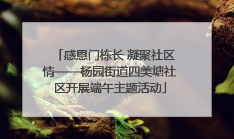 感恩门栋长 凝聚社区情——杨园街道四美塘社区开展端午主题活动