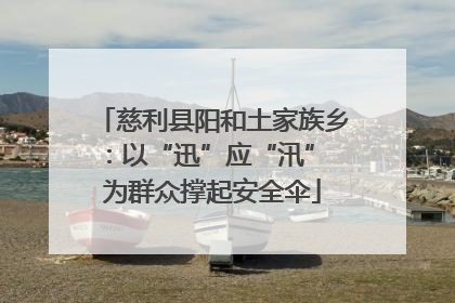 慈利县阳和土家族乡：以“迅”应“汛” 为群众撑起安全伞