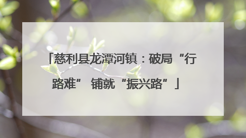慈利县龙潭河镇：破局“行路难” 铺就“振兴路”