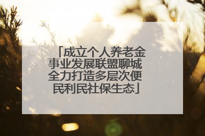 成立个人养老金事业发展联盟聊城全力打造多层次便民利民社保生态