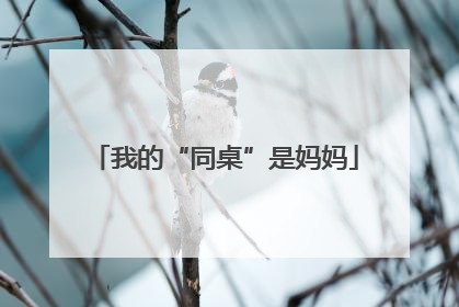 我的“同桌”是妈妈