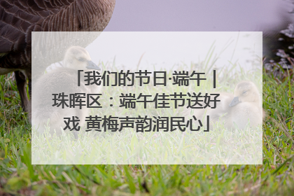 我们的节日·端午｜珠晖区：端午佳节送好戏 黄梅声韵润民心
