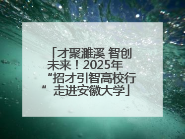 才聚濉溪 智创未来！2025年“招才引智高校行”走进安徽大学
