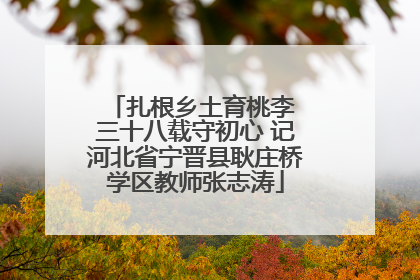 扎根乡土育桃李 三十八载守初心 记河北省宁晋县耿庄桥学区教师张志涛