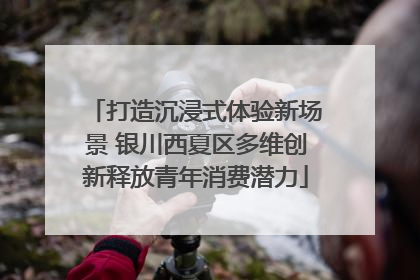 打造沉浸式体验新场景 银川西夏区多维创新释放青年消费潜力