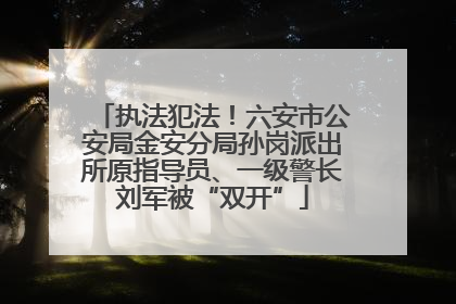 执法犯法！六安市公安局金安分局孙岗派出所原指导员、一级警长刘军被“双开”