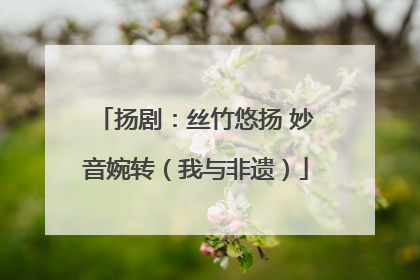 扬剧：丝竹悠扬 妙音婉转（我与非遗）