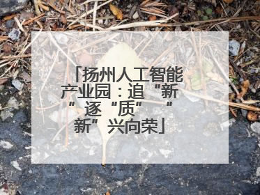 扬州人工智能产业园：追“新”逐“质” “新”兴向荣