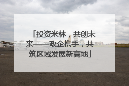 投资米林，共创未来——政企携手，共筑区域发展新高地