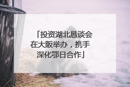 投资湖北恳谈会在大阪举办，携手深化鄂日合作