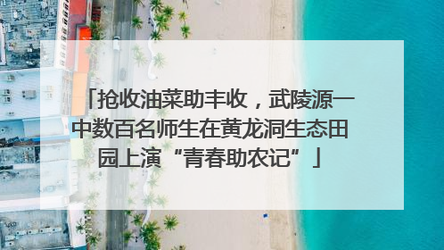 抢收油菜助丰收，武陵源一中数百名师生在黄龙洞生态田园上演“青春助农记”