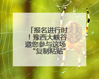 报名进行时！豫西大峡谷邀您参与这场“复制粘贴”版水上狂欢