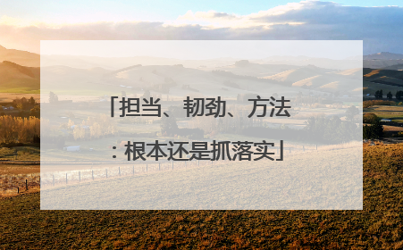 担当、韧劲、方法：根本还是抓落实
