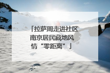 拉萨周走进社区 南京居民藏地风情“零距离”