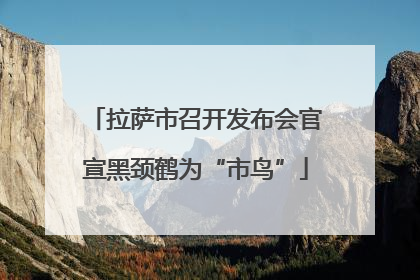 拉萨市召开发布会官宣黑颈鹤为“市鸟”