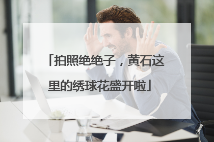 拍照绝绝子，黄石这里的绣球花盛开啦