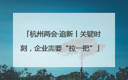 杭州两会·追新丨关键时刻，企业需要“拉一把”