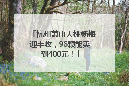 杭州萧山大棚杨梅迎丰收，96颗能卖到400元！