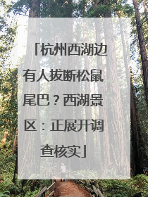 杭州西湖边有人拔断松鼠尾巴？西湖景区：正展开调查核实