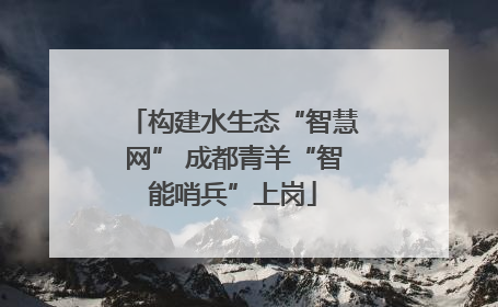 构建水生态“智慧网” 成都青羊“智能哨兵”上岗
