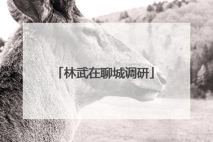 林武在聊城调研