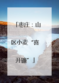 枣庄：山区小麦“喜开镰”