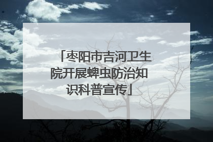 枣阳市吉河卫生院开展蜱虫防治知识科普宣传