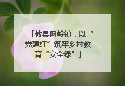 攸县网岭镇：以“党建红”筑牢乡村教育“安全绿”