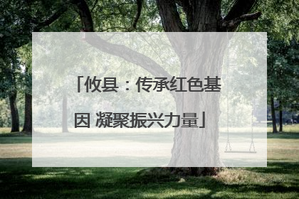 攸县：传承红色基因 凝聚振兴力量