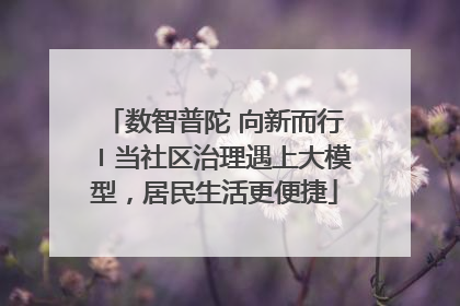 数智普陀 向新而行〡当社区治理遇上大模型，居民生活更便捷