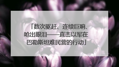 数次驱赶、连续巨响、呛出眼泪——直击以军在巴勒斯坦难民营的行动