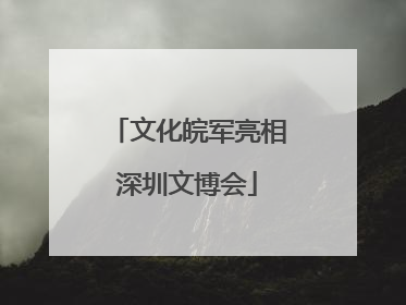 文化皖军亮相深圳文博会