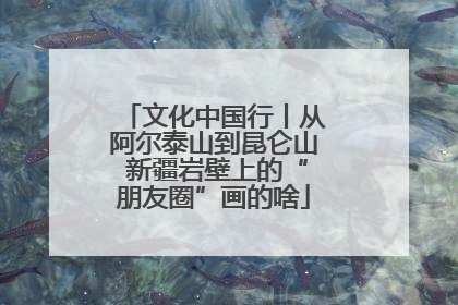文化中国行丨从阿尔泰山到昆仑山 新疆岩壁上的“朋友圈”画的啥