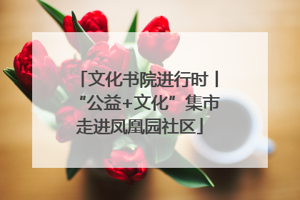 文化书院进行时丨“公益+文化”集市走进凤凰园社区