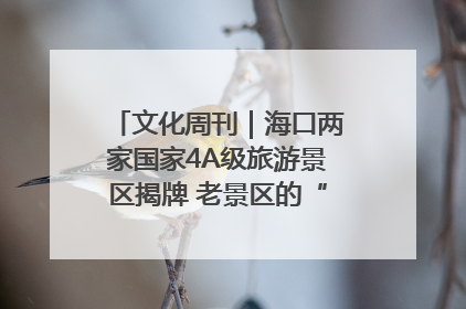 文化周刊｜海口两家国家4A级旅游景区揭牌 老景区的“焕新”密码