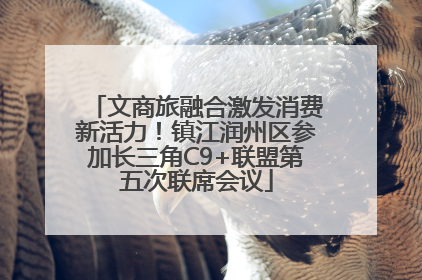 文商旅融合激发消费新活力！镇江润州区参加长三角C9+联盟第五次联席会议