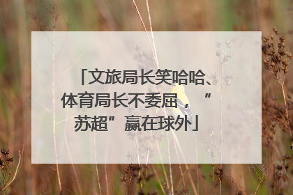 文旅局长笑哈哈、体育局长不委屈，“苏超”赢在球外