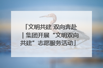 文明共建 双向奔赴｜集团开展“文明双向共建”志愿服务活动
