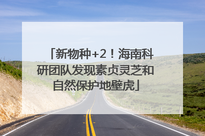 新物种+2！海南科研团队发现素贞灵芝和自然保护地壁虎