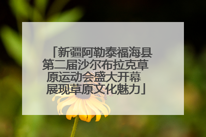 新疆阿勒泰福海县第二届沙尔布拉克草原运动会盛大开幕 展现草原文化魅力