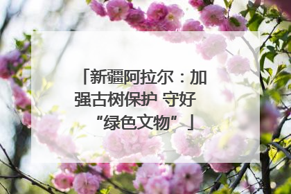 新疆阿拉尔：加强古树保护 守好“绿色文物”