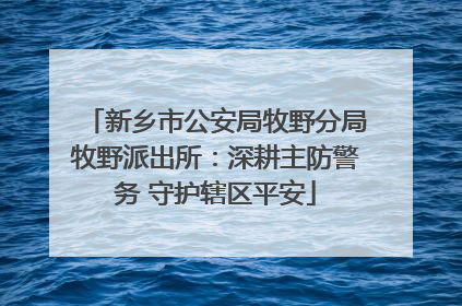 新乡市公安局牧野分局牧野派出所：深耕主防警务 守护辖区平安