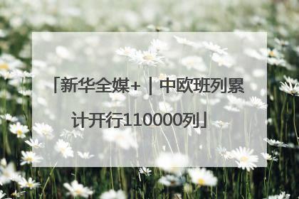 新华全媒+｜中欧班列累计开行110000列
