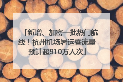 新增、加密一批热门航线！杭州机场暑运客流量预计超910万人次