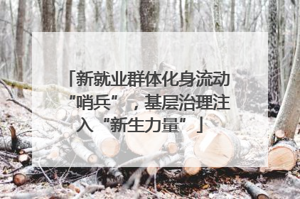 新就业群体化身流动“哨兵”，基层治理注入“新生力量”