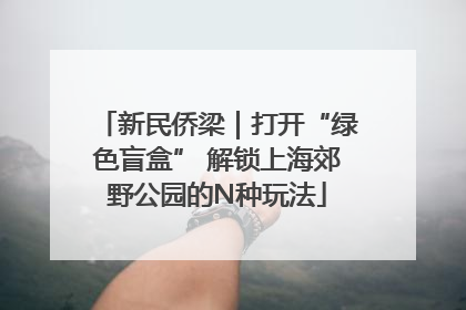 新民侨梁｜打开“绿色盲盒” 解锁上海郊野公园的N种玩法