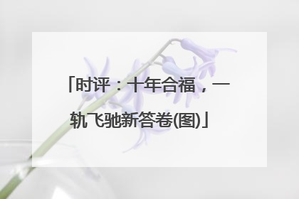 时评：十年合福，一轨飞驰新答卷(图)